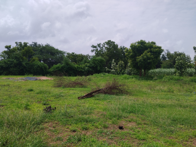 Residential Plot 1200 Sq.ft. for Sale in Gabbur, Hubli