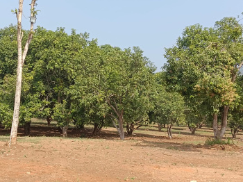  Residential Plot for Sale in Madhurawada, Visakhapatnam
