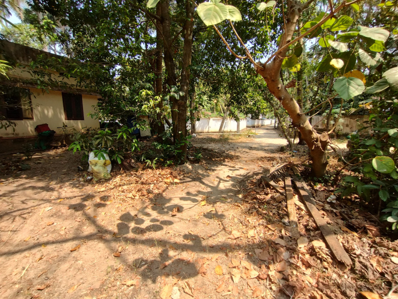  Residential Plot 3 Cent for Sale in Kallur, Thrissur