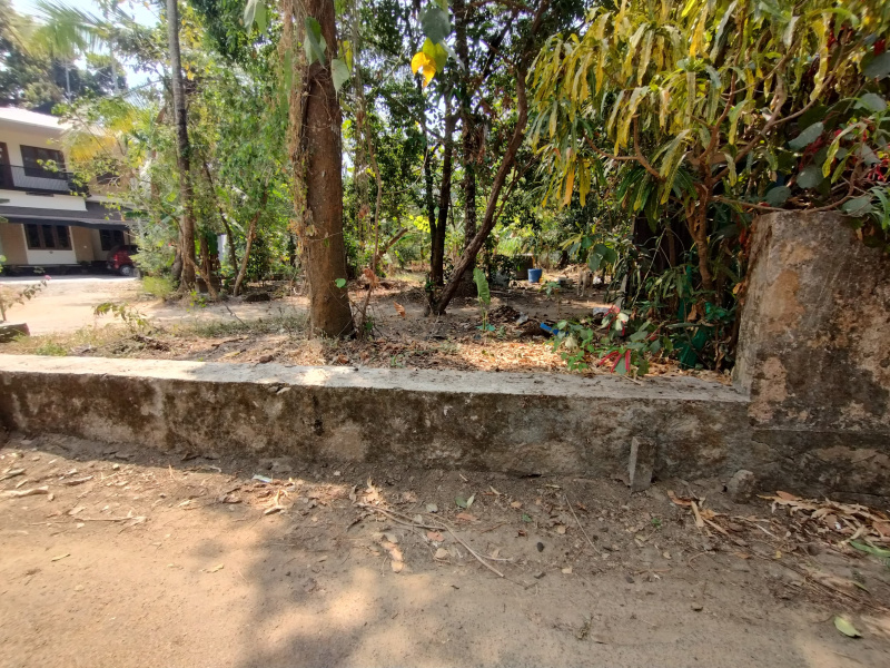  Residential Plot 3 Cent for Sale in Kallur, Thrissur