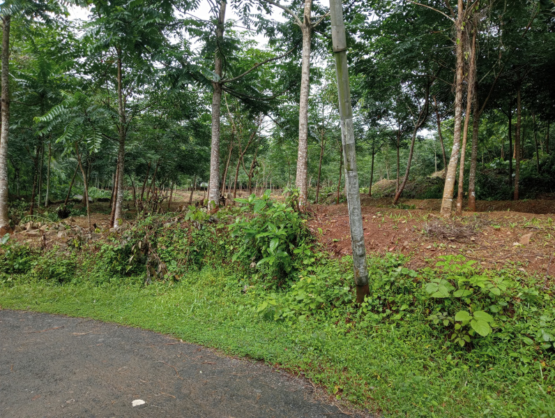  Residential Plot 30 Cent for Sale in Chelakkara, Thrissur