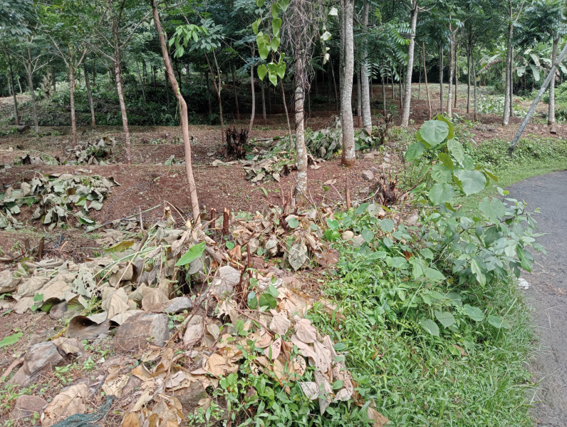  Residential Plot 30 Cent for Sale in Chelakkara, Thrissur