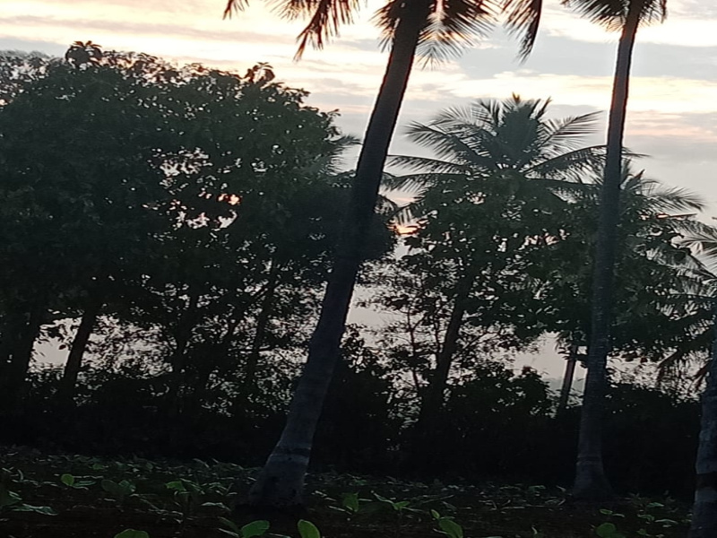  Agricultural Land 5 Acre for Sale in Chamarajapuram, Mysore