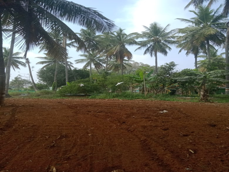  Agricultural Land 5 Acre for Sale in Chamarajapuram, Mysore