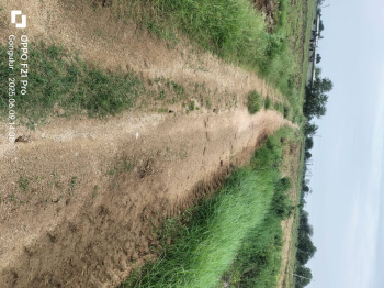  Agricultural Land for Sale in Ismailkhanpet, Sangareddy
