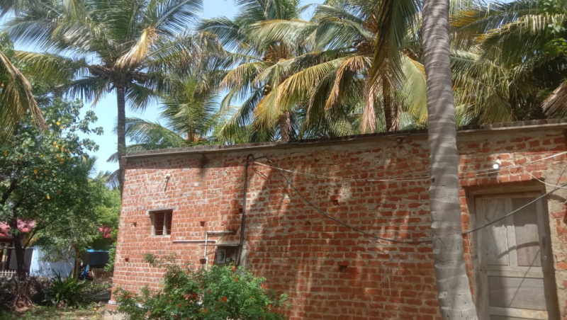  Residential Plot 2 Acre for Sale in Panagudi, Tirunelveli