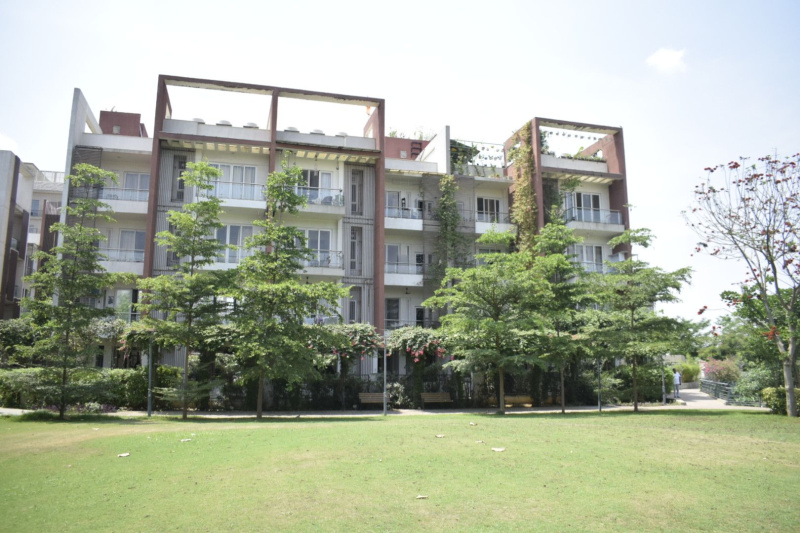 3.5 BHK Apartment 2403 Sq.ft. for Sale in Sector 63 Gurgaon