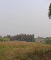  Residential Plot for Sale in Kabardanga, Kolkata