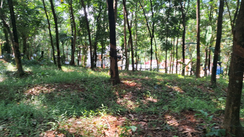  Residential Plot 58 Cent for Sale in Mannarkkad, Palakkad