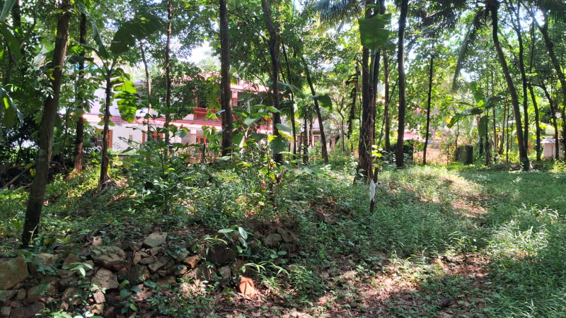  Residential Plot 58 Cent for Sale in Mannarkkad, Palakkad