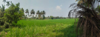  Agricultural Land for Sale in Kanakadasa Nagar, Mysore