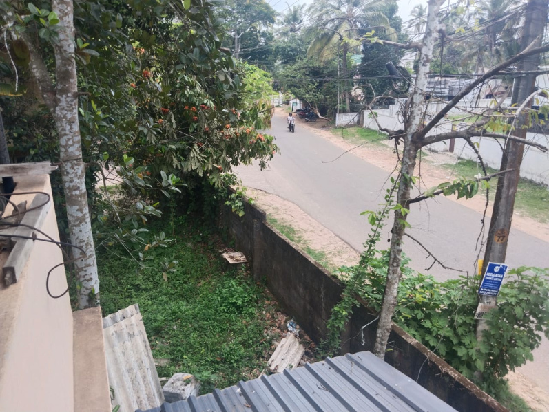  Residential Plot 13 Cent for Sale in Nedumangad, Thiruvananthapuram