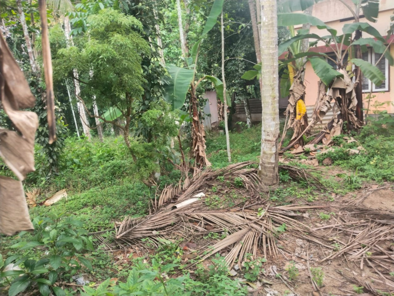  Residential Plot 13 Cent for Sale in Nedumangad, Thiruvananthapuram