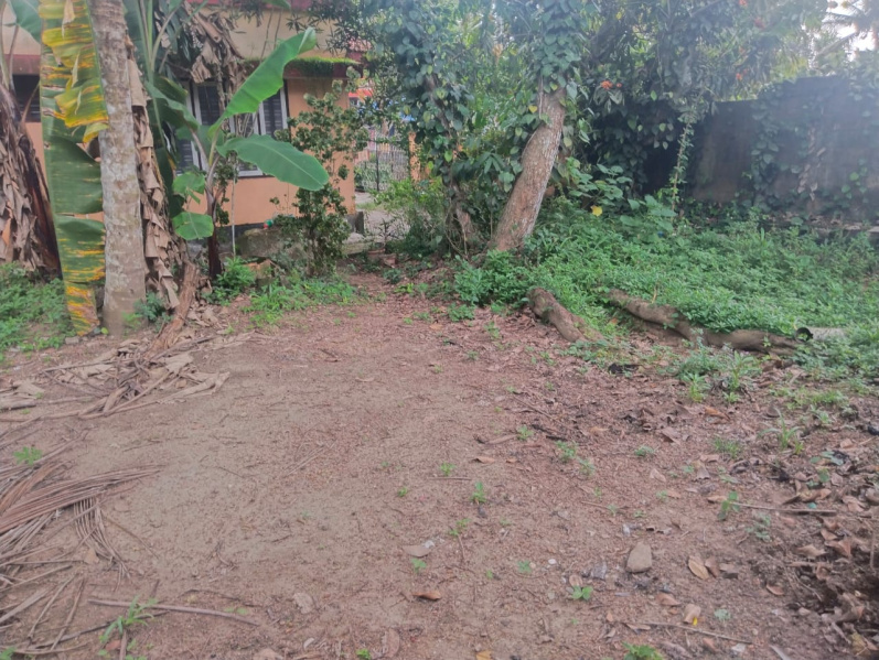  Residential Plot 13 Cent for Sale in Nedumangad, Thiruvananthapuram