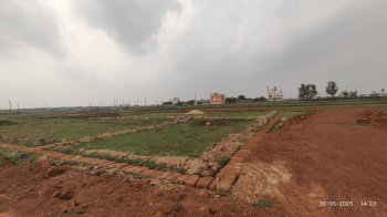  Residential Plot for Sale in Gangapada, Bhubaneswar