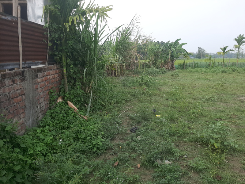  Residential Plot 5760 Sq.ft. for Sale in Haibargaon, Nagaon