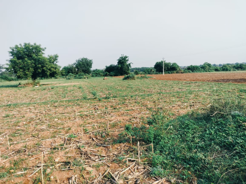  Agricultural Land 2 Acre for Sale in Chintakani, Khammam
