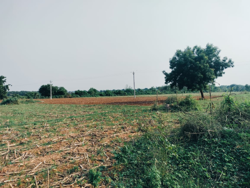  Agricultural Land 2 Acre for Sale in Chintakani, Khammam
