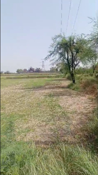  Agricultural Land 14 Acre for Sale in Hirmathla, Nuh