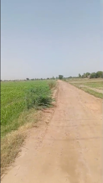  Agricultural Land 14 Acre for Sale in Hirmathla, Nuh