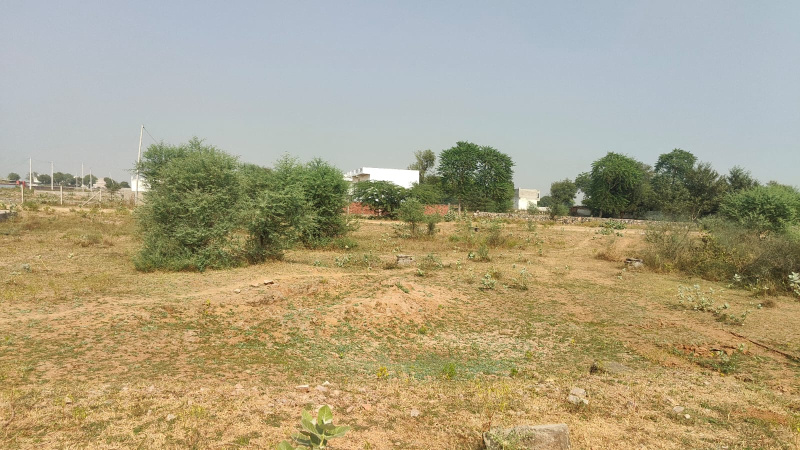  Residential Plot 266 Sq. Yards for Sale in Jagatpura, Jaipur