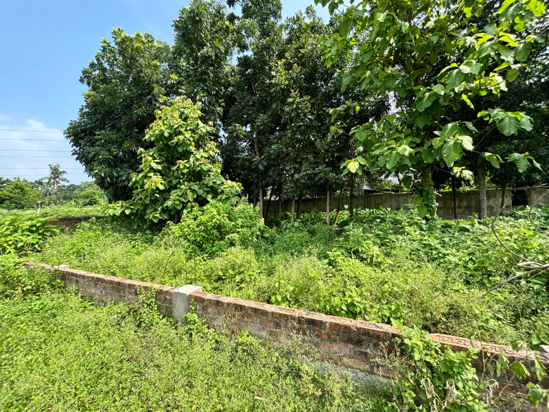  Commercial Land 14 Katha for Sale in Kalyani, Kolkata