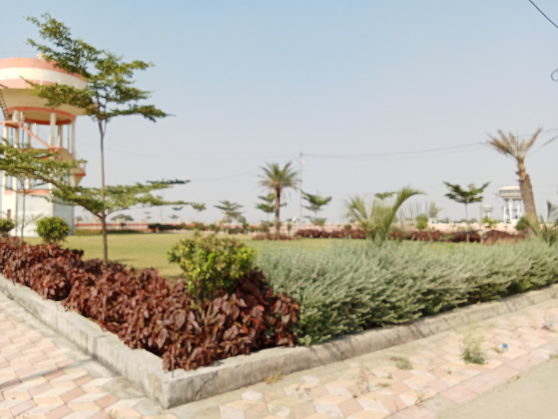  Residential Plot 900 Sq.ft. for Sale in Bhawrasla, Indore