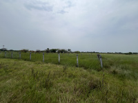  Residential Plot for Sale in Thiruthuraipoondi, Thiruvarur
