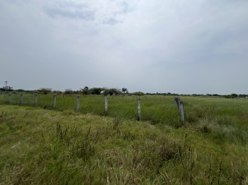  Residential Plot for Sale in Thiruthuraipoondi, Thiruvarur