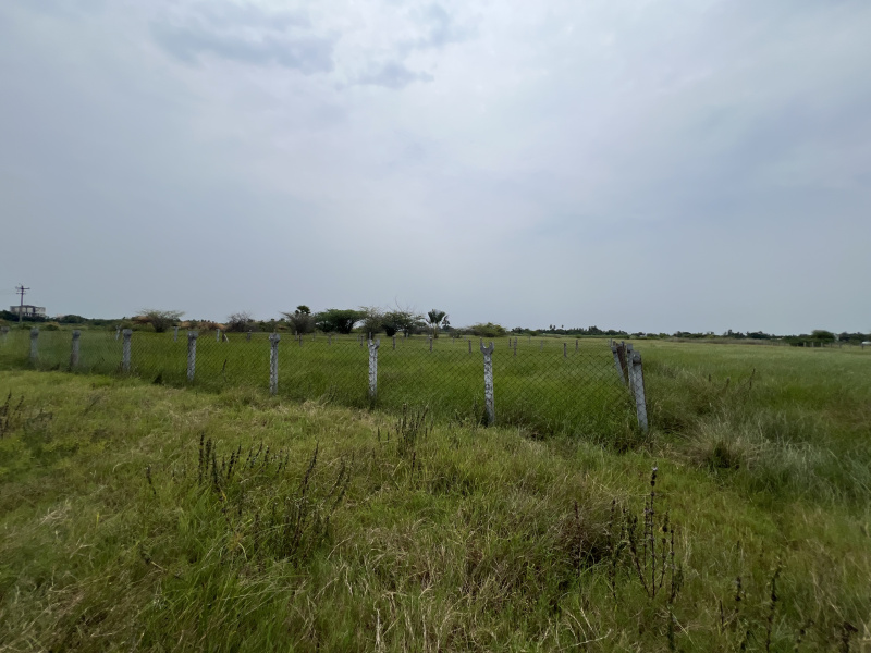  Residential Plot 93 Cent for Sale in Thiruthuraipoondi, Thiruvarur