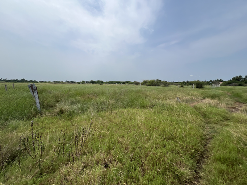  Residential Plot 93 Cent for Sale in Thiruthuraipoondi, Thiruvarur