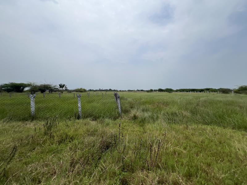  Residential Plot 93 Cent for Sale in Thiruthuraipoondi, Thiruvarur