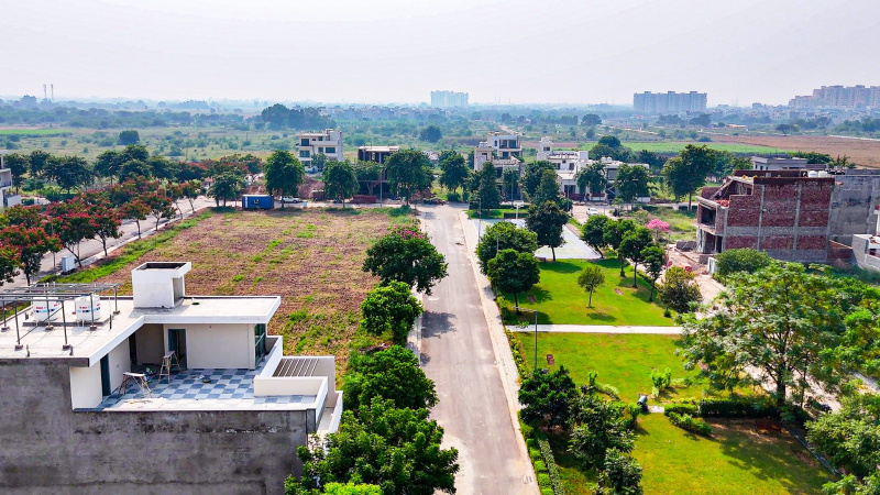  Residential Plot 250 Sq.ft. for Sale in Sector 98 Mohali