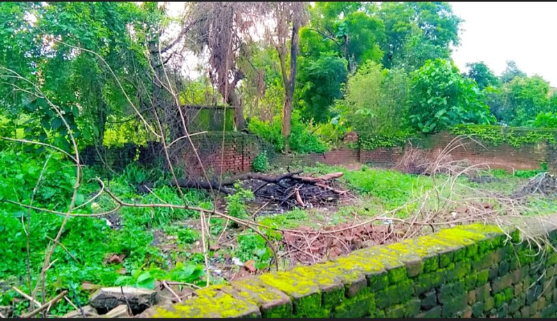  Residential Plot 5 Dismil for Sale in Phusro, Bokaro