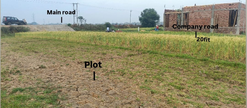  Residential Plot 1200 Sq.ft. for Sale in Fatwah, Patna