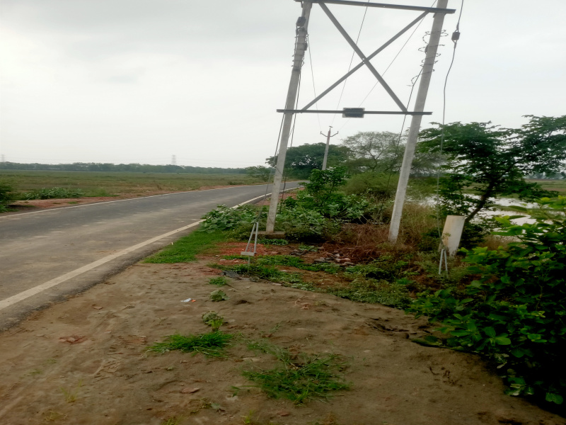 Residential Plot 1200 Sq.ft. for Sale in Fatwah, Patna