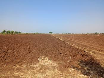  Agricultural Land for Sale in Chhutmalpur, Saharanpur
