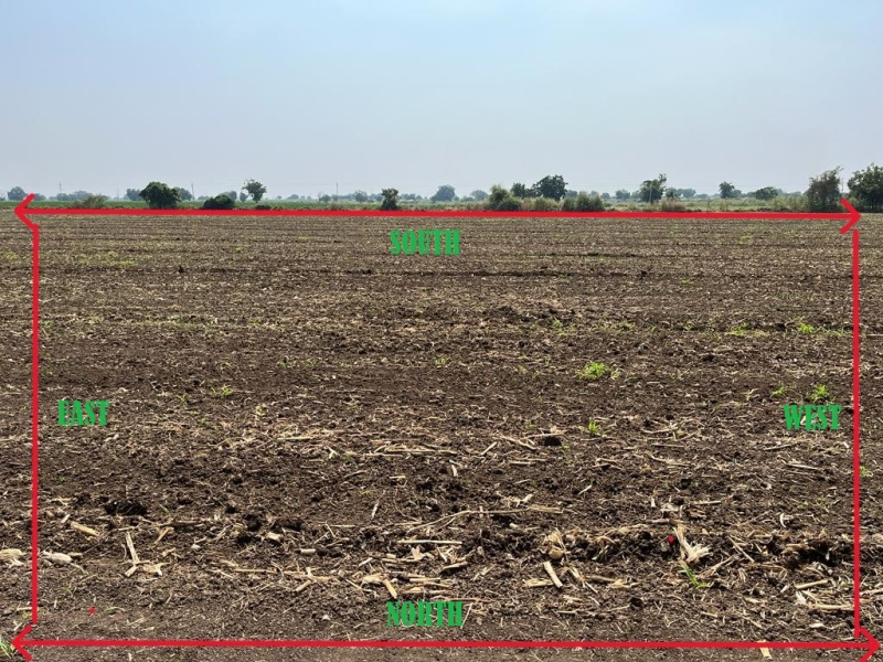  Residential Plot 2 Acre for Sale in Nandyal, Kurnool