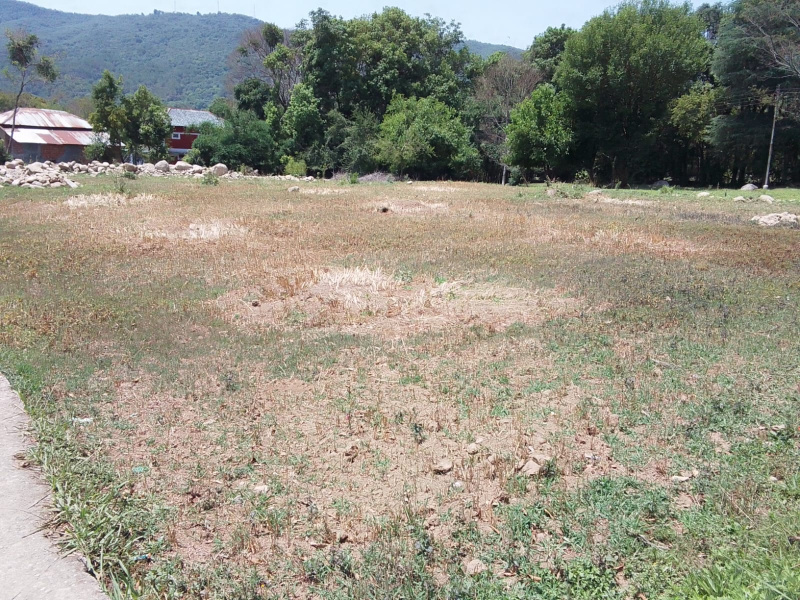  Residential Plot 1 Bigha for Sale in Chauntra, Mandi