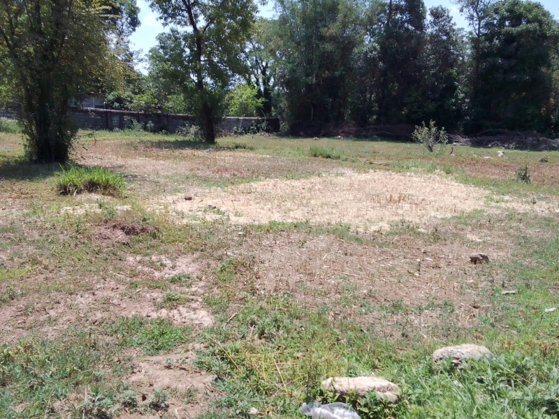  Residential Plot 1 Bigha for Sale in Chauntra, Mandi