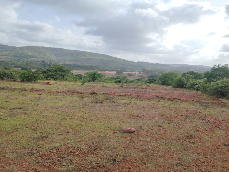  Agricultural Land 2 Acre for Sale in Amba, Kolhapur