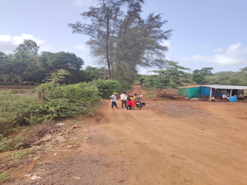  Agricultural Land 2 Acre for Sale in Amba, Kolhapur