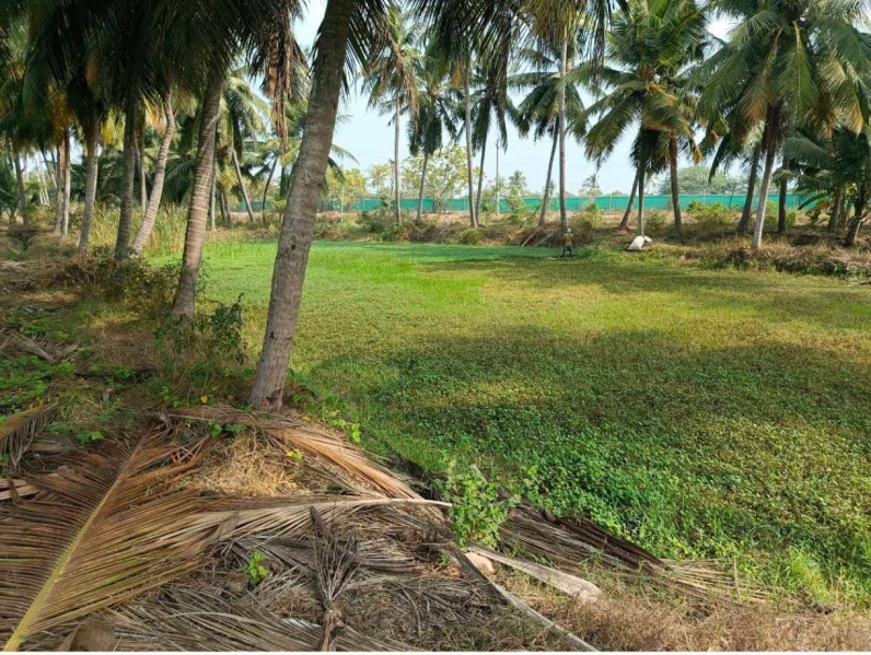  Agricultural Land 30 Cent for Sale in Narsapur, West Godavari
