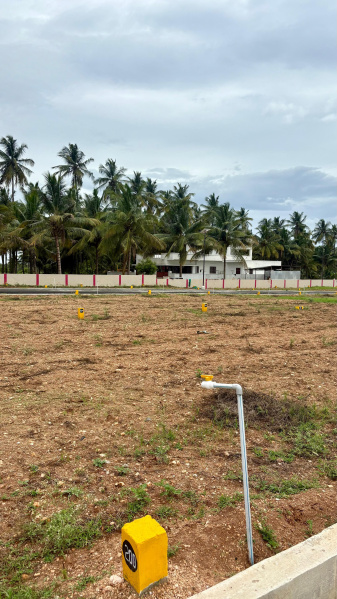  Commercial Land 1200 Sq.ft. for Sale in Kovilpalayam, Coimbatore