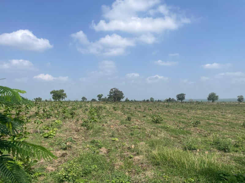 2 BHK Farm House 6000 Sq.ft. for Sale in Chhatrapati Square, Nagpur