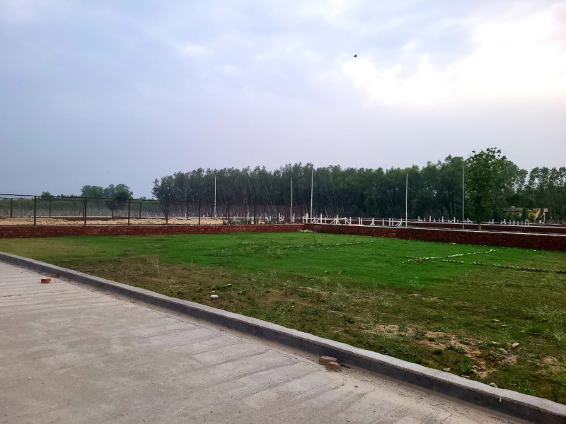  Residential Plot 200 Sq.ft. for Sale in AZAD COLONY, Dehradun
