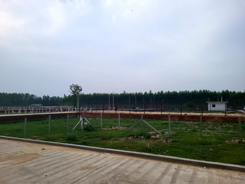  Residential Plot 200 Sq.ft. for Sale in AZAD COLONY, Dehradun