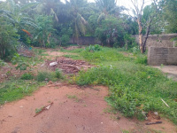  Residential Plot for Sale in Vettunimadam, Nagercoil, Kanyakumari