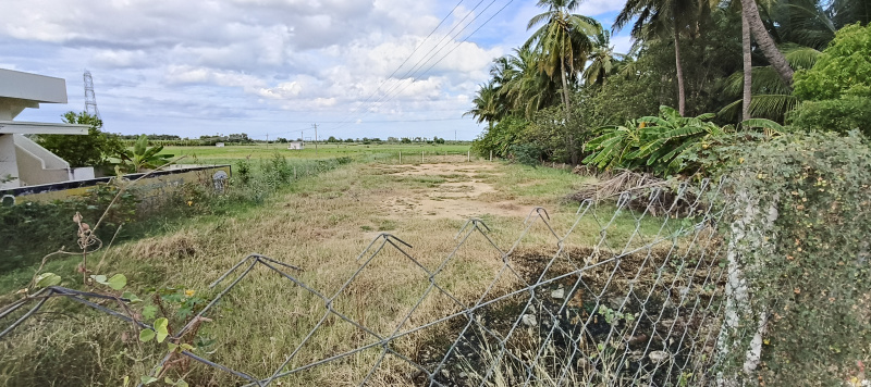  Residential Plot 23 Cent for Sale in Nazerath, Thoothukudi