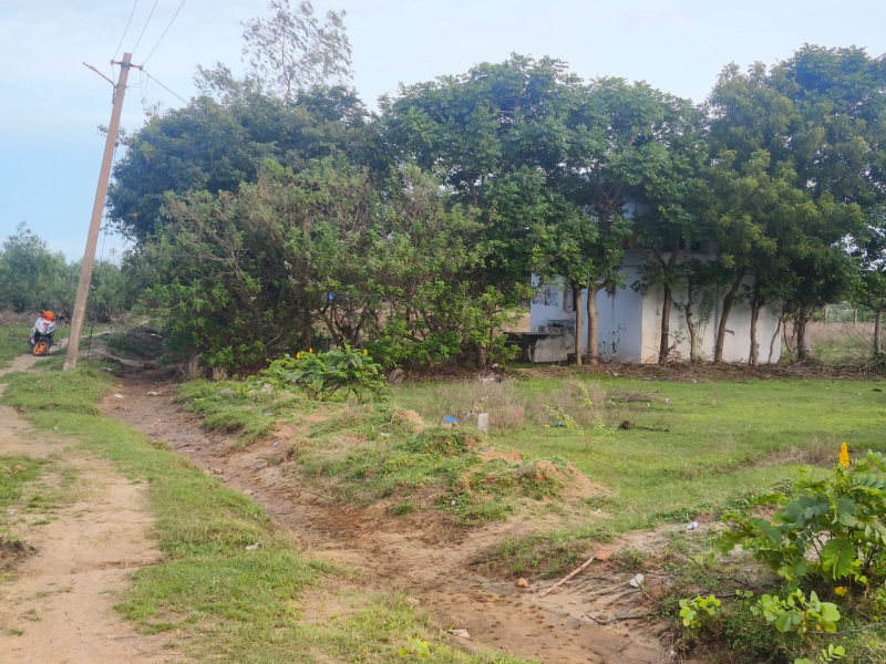  Residential Plot 7900 Sq.ft. for Sale in Thalatheru, Karaikal, Pondicherry